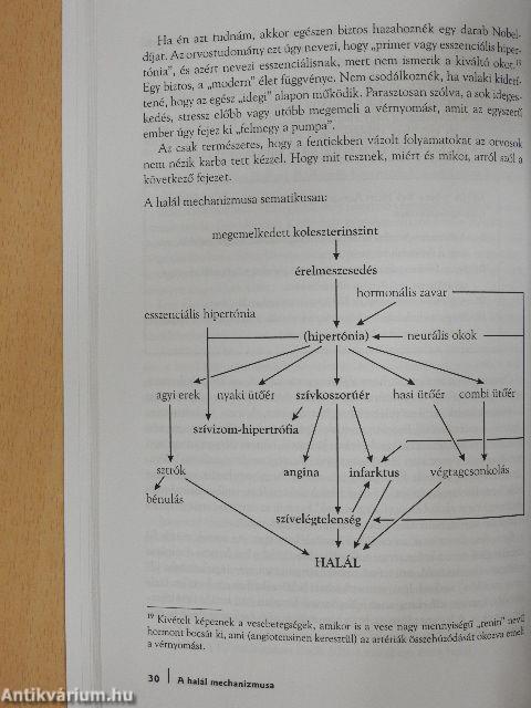 Szeretném, ha sokáig dobognál