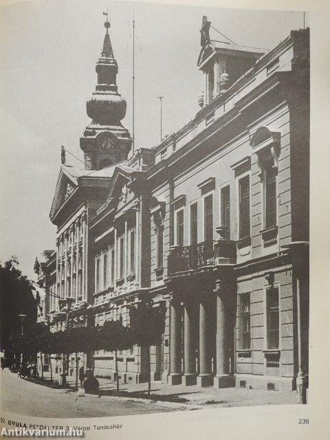 Békés megye műemlékei I-II.