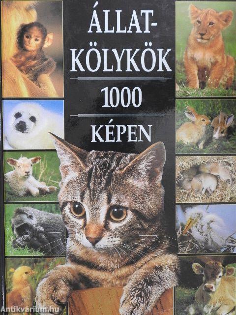 Állatkölykök 1000 képen