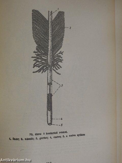 Összehasonlító állatszervezettani gyakorlatok
