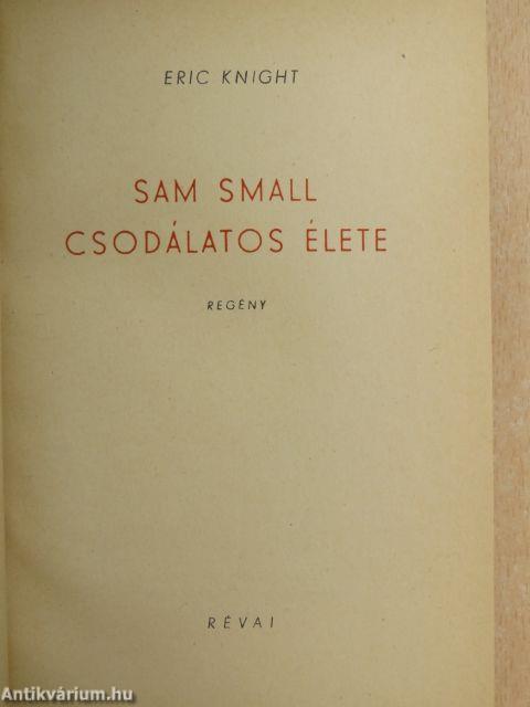 Sam Small csodálatos élete