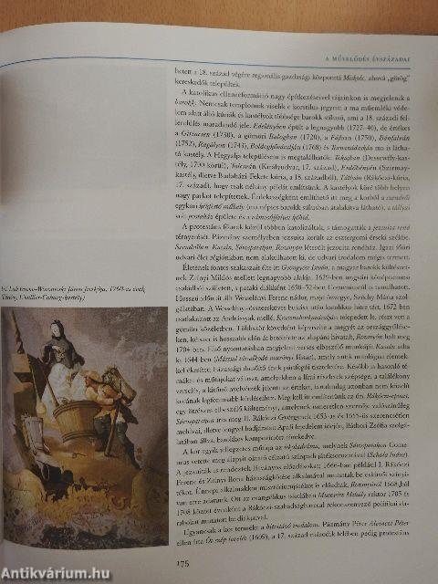 Borsod-Abaúj-Zemplén megyekönyv 2002