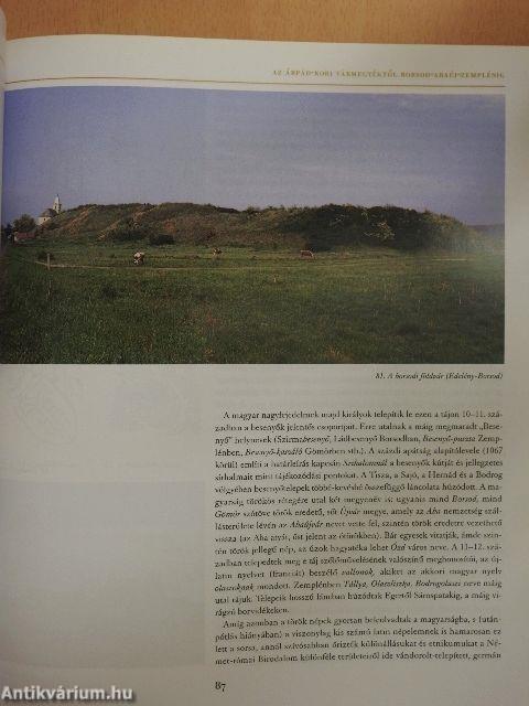 Borsod-Abaúj-Zemplén megyekönyv 2002