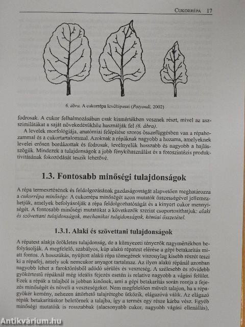 Gyökér- és gumós növények/Hüvelyesek/Olaj- és ipari növények/Takarmánynövények