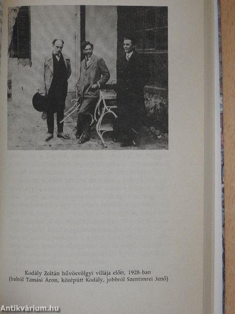 Szülőföldem