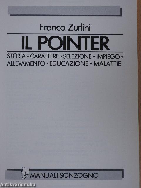 Il Pointer