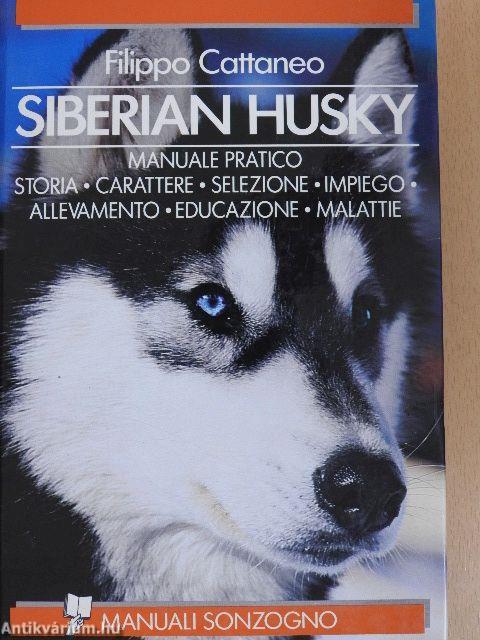 Siberian husky