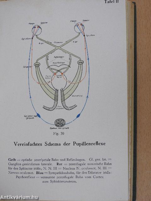 Grundriß der Augenheilkunde