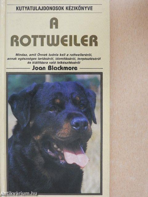 A rottweiler