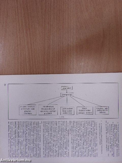 Földtani Kutatás 1978/3-4.
