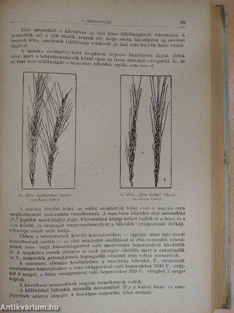 A szántóföldi növények nemesítése és vetőmagtermesztése