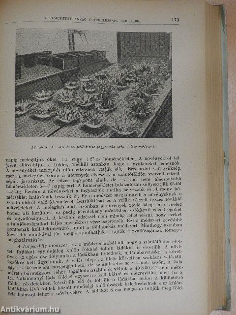 A szántóföldi növények nemesítése és vetőmagtermesztése