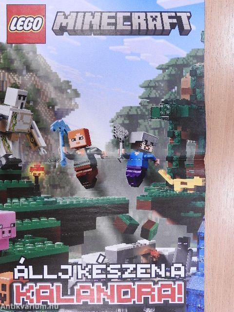 LEGO Minecraft 1.