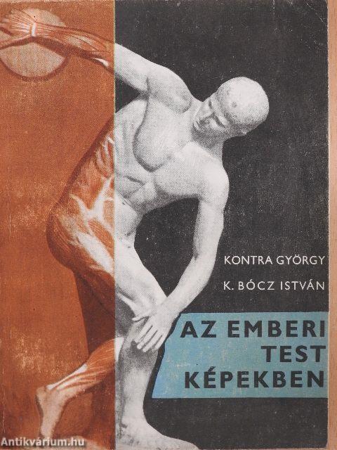 Az emberi test képekben