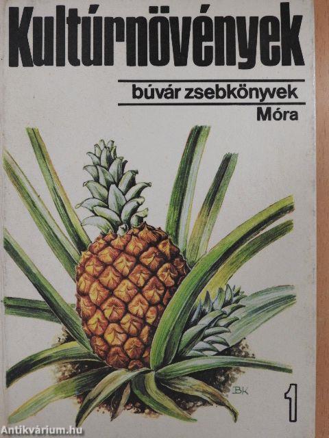 Kultúrnövények 1.