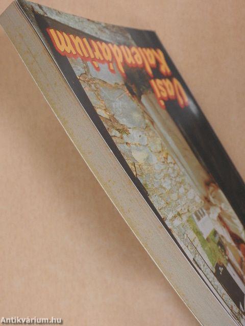 Vasi kalendárium 1998