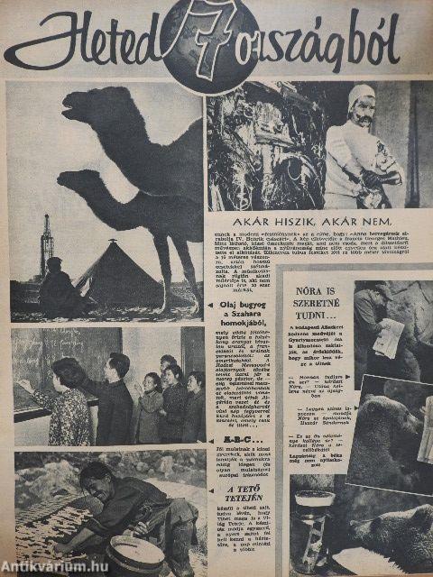 Nők Lapja 1958. (nem teljes évfolyam)