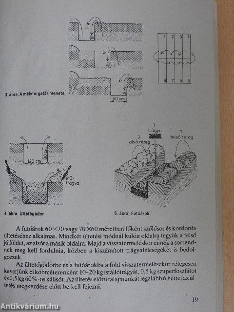 Ősztől őszig a kertbarátoknál