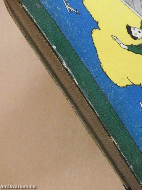 Repülj Ferkó csudálatos kalandjai