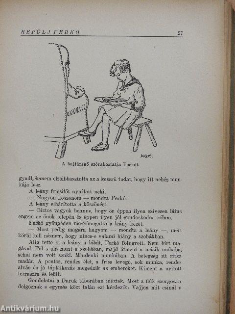 Repülj Ferkó csudálatos kalandjai