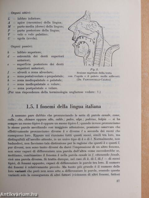 Grammatica italiana del novecento