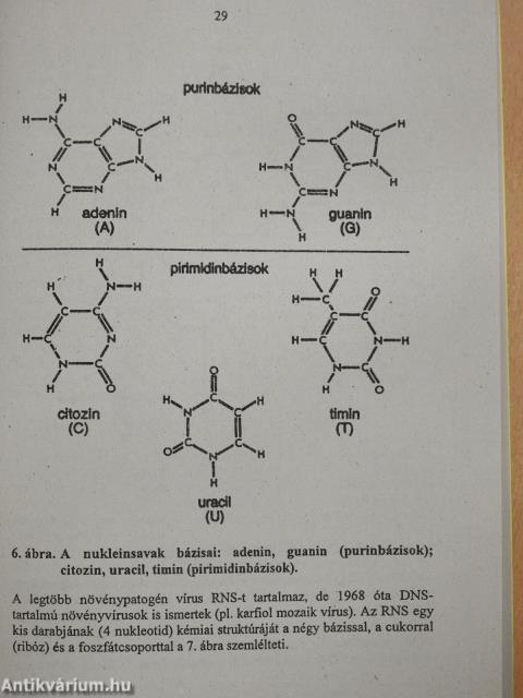 Növényvirológia (dedikált példány)