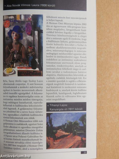 Képzőművészet Magyarországi közgyűjteményekben