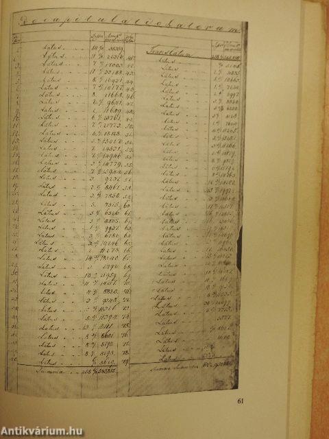 Giba Antal felmérése Makó belterületéről 1824-ben