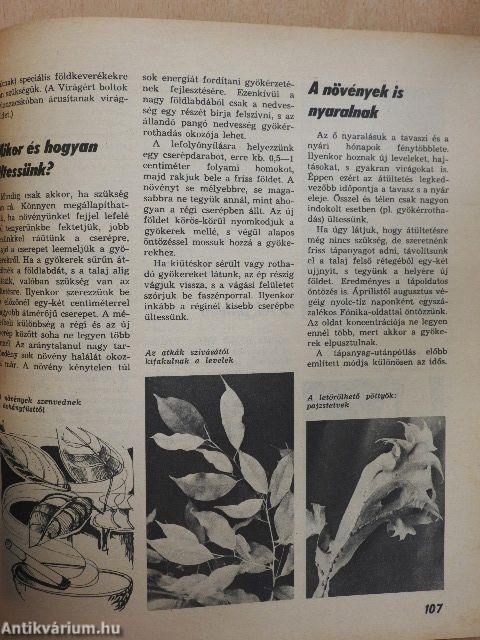 Hobby 1970-1971 (vegyes számok) (7 db)