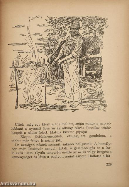 Tüskevár (dedikált példány)