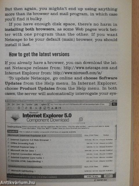 The Internet 1999