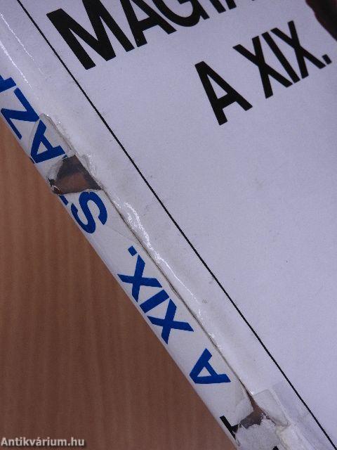 Magyar festészet a XIX. században