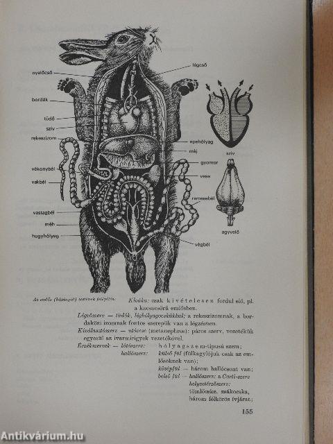 Biológiai önképző