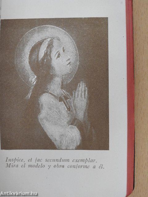 Puntos Breves de Meditación Sobre la Vida, Virtudes y Advocaciones Litúrgicas de la Santísima Virgen María