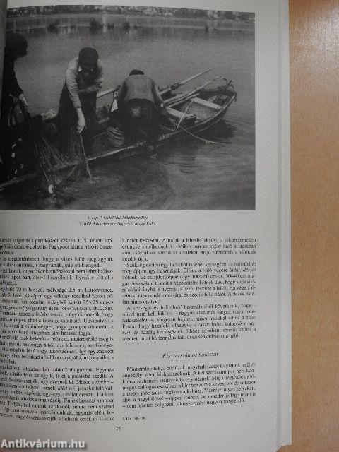 4000 év a 100 halom városában