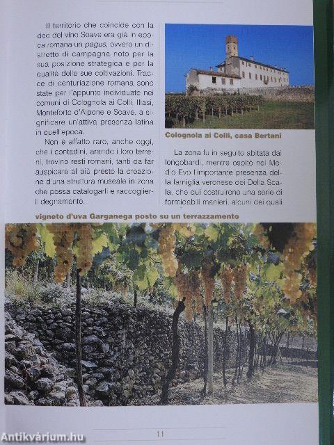 Il Soave