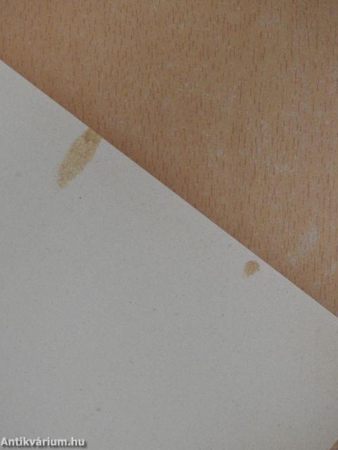 Abaúj-Torna Vármegye katonai leírása