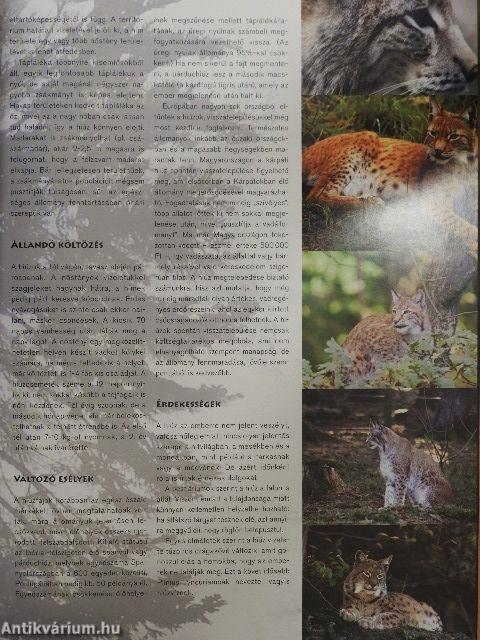 Az emlősök különleges világa