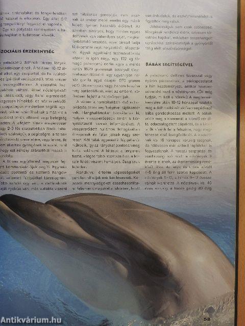 Az emlősök különleges világa