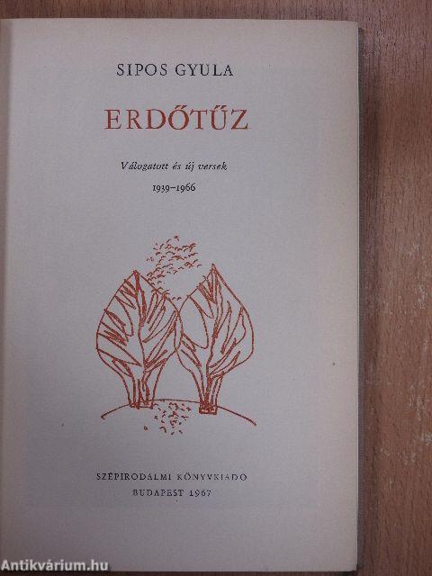 Erdőtűz