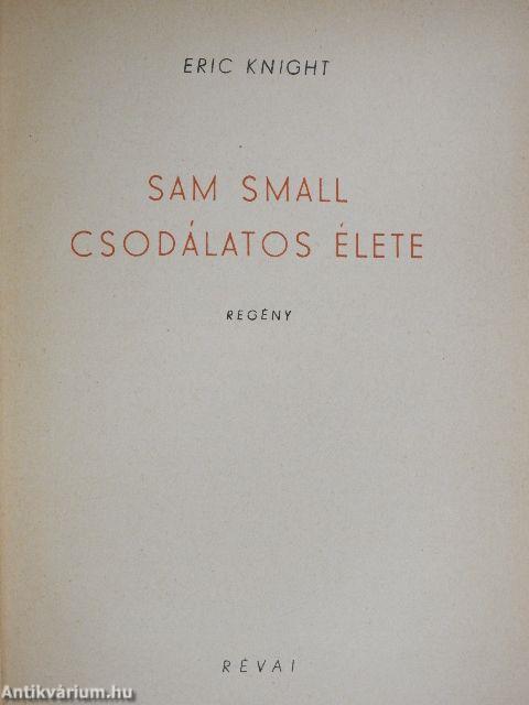 Sam Small csodálatos élete