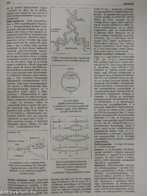 Környezet- és természetvédelmi lexikon I-II.