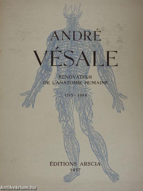 Rénovateur de l'Anatomie Humaine