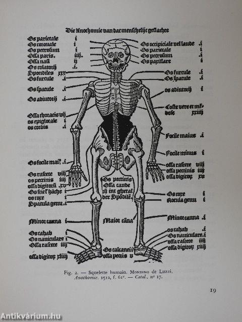 Rénovateur de l'Anatomie Humaine