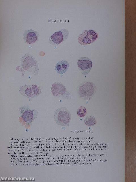 Clinical Hematology