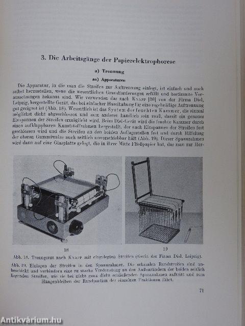 Papierelektrophorese