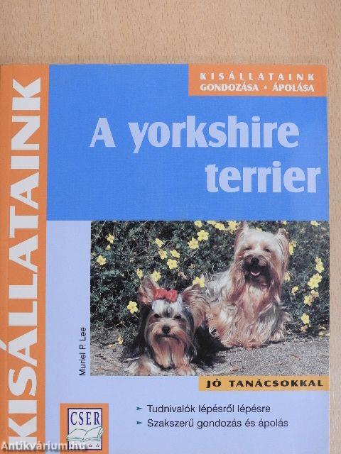 A yorkshire terrier