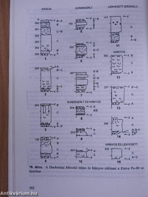 Karbonátszedimentológia