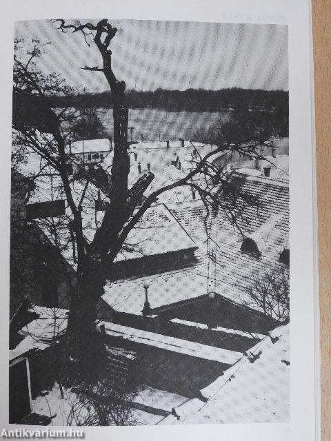 A szókimondás évada