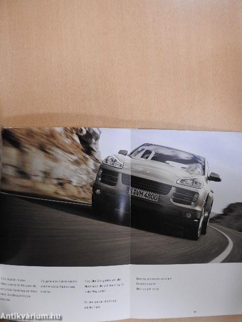Momentum Cayenne